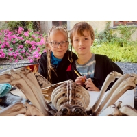 CLASSIC - Czarodziejskie Kolonie na Zamku