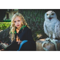 CLASSIC - Czarodziejskie Kolonie na Zamku