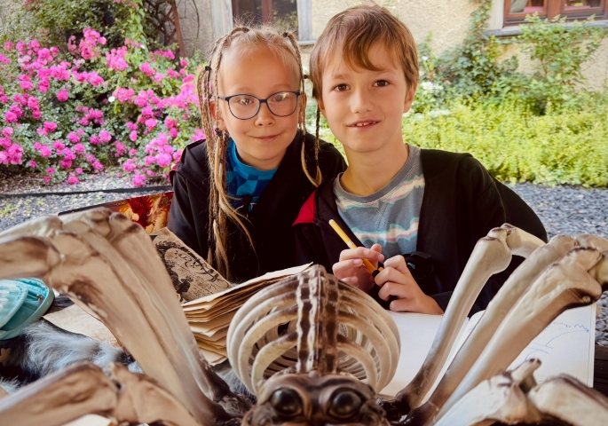 CLASSIC - Czarodziejskie Kolonie na Zamku