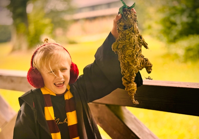 CLASSIC - Czarodziejskie Kolonie na Zamku