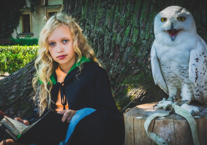 CLASSIC - Czarodziejskie Kolonie na Zamku