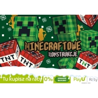 Półkolonie Minecraftowe Konstrukcje