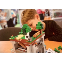 Półkolonie Minecraftowe Konstrukcje